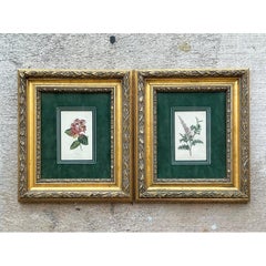 Vintage Framed Botanical Floral Prints - A Pair