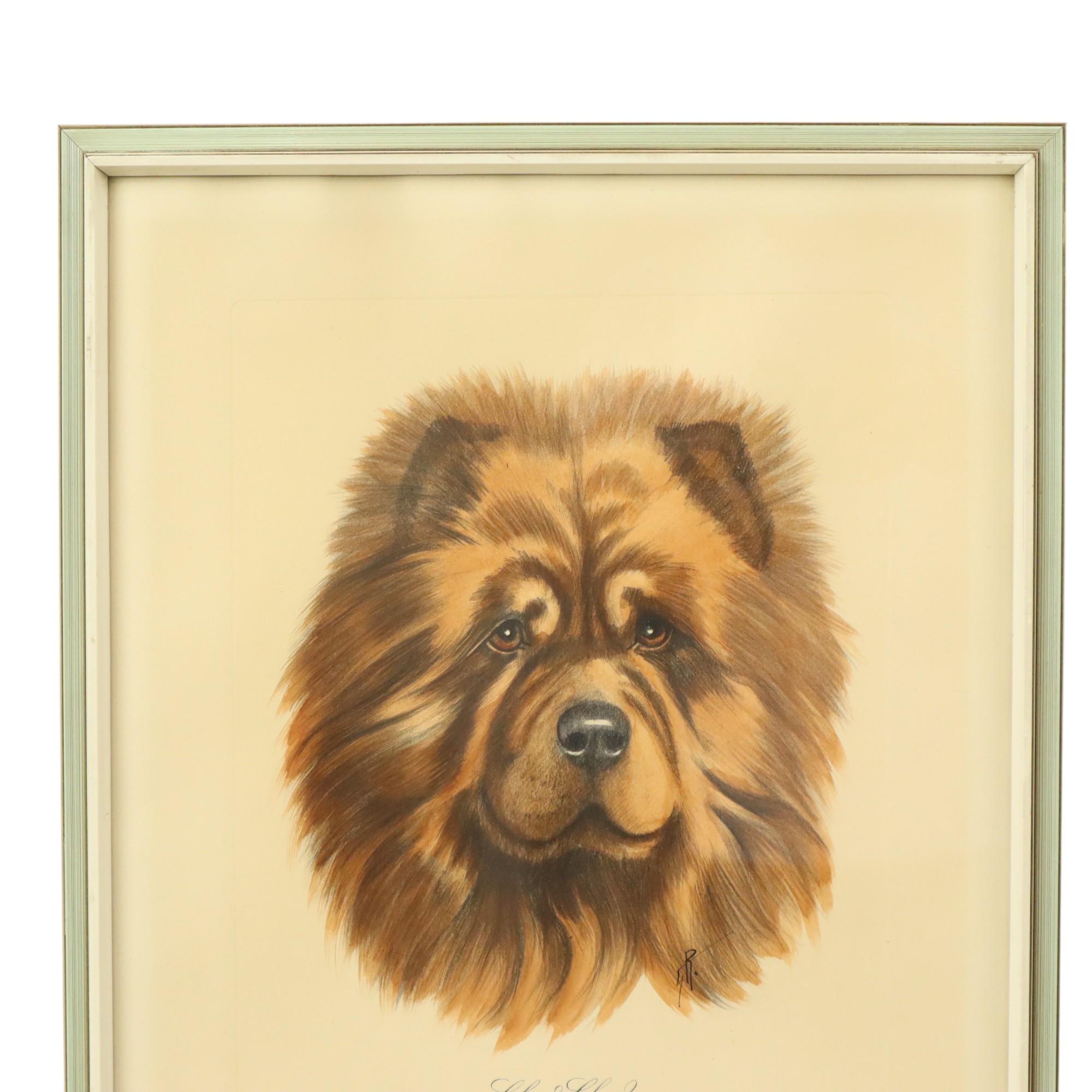 Nice vintage color lithograph of a Chow Chow dog, signed in ink at the bottom right, not numbered, circa second half of the 20th century.

This beautiful lithograph is in very good vintage condition, with signs of age and use consistent with its