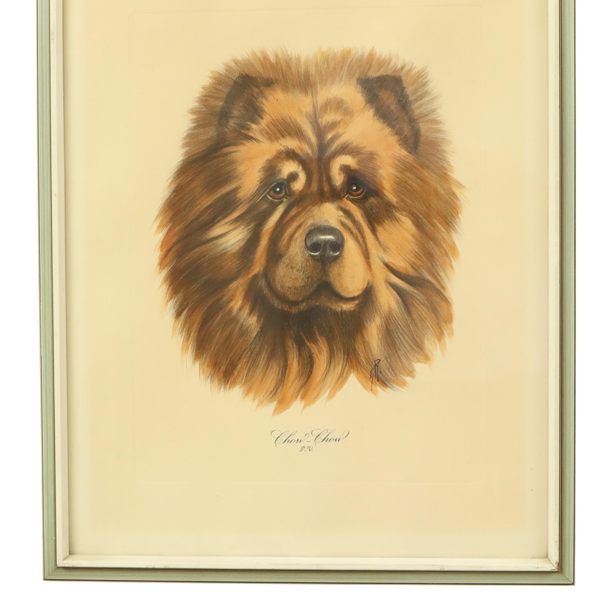 European Vintage Framed Color Litho Dog Chow Chow Signed For Sale