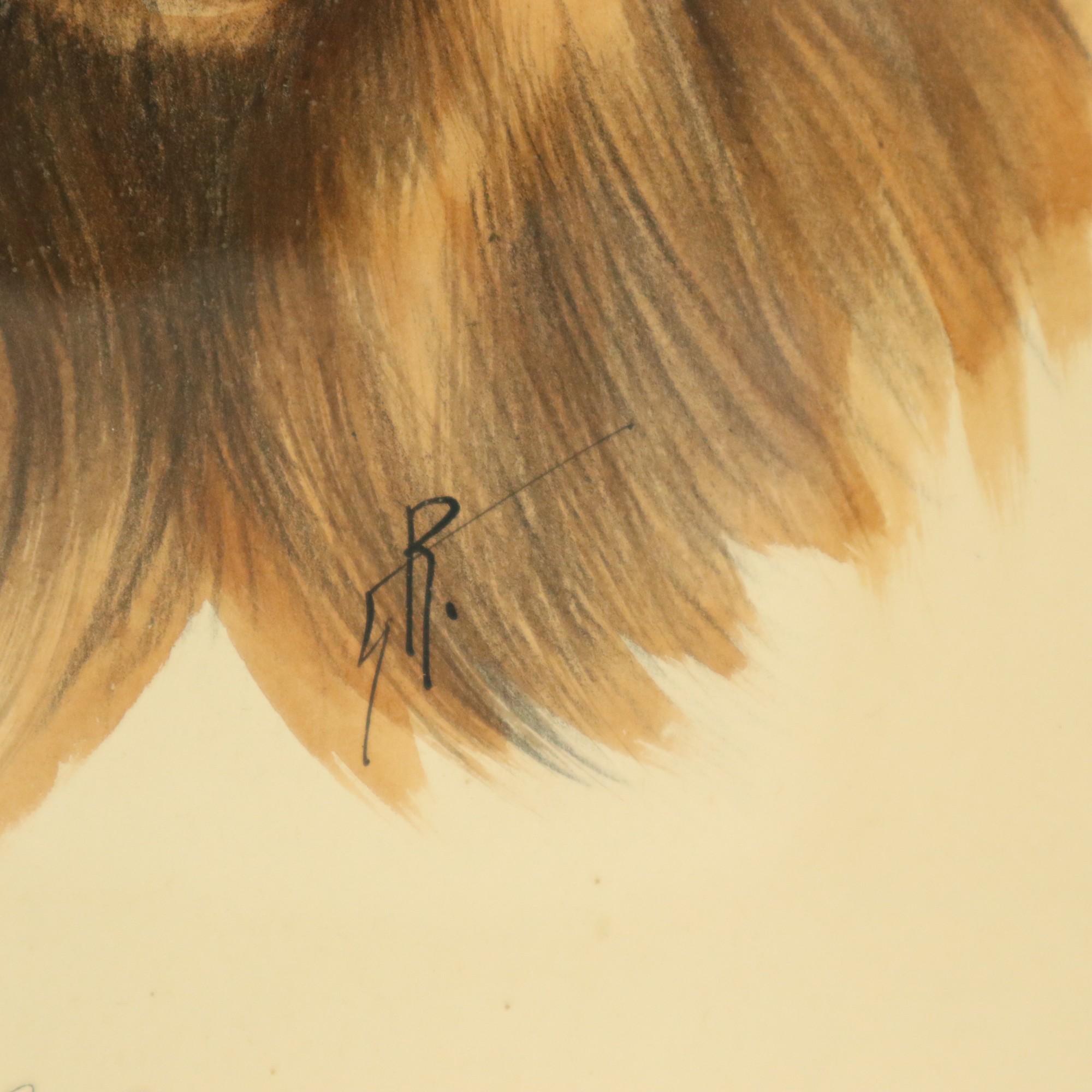 Vintage Framed Color Litho Dog Chow Chow Signed In Good Condition For Sale In Poperinge, BE