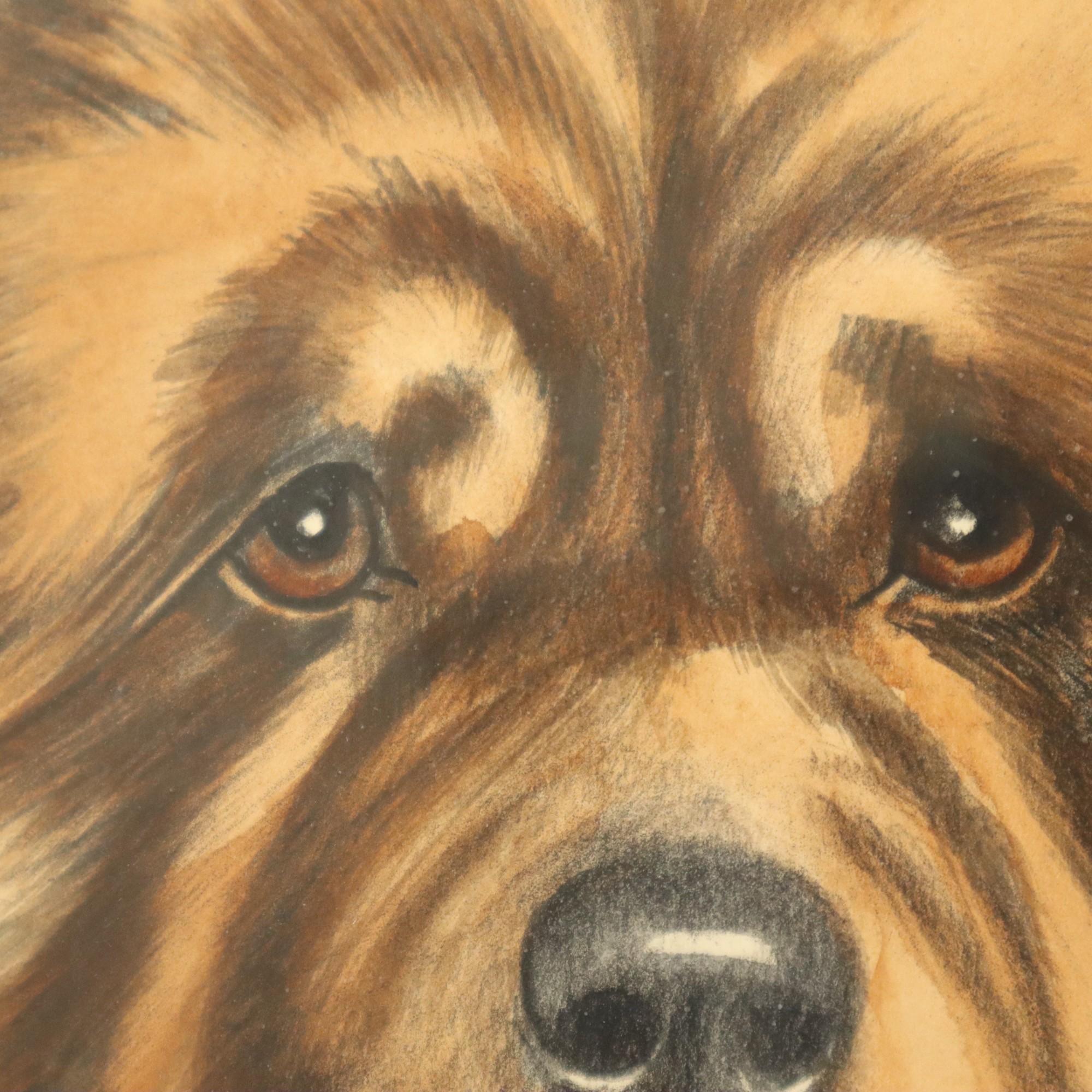 Vintage Framed Color Litho Dog Chow Chow Signed For Sale 2
