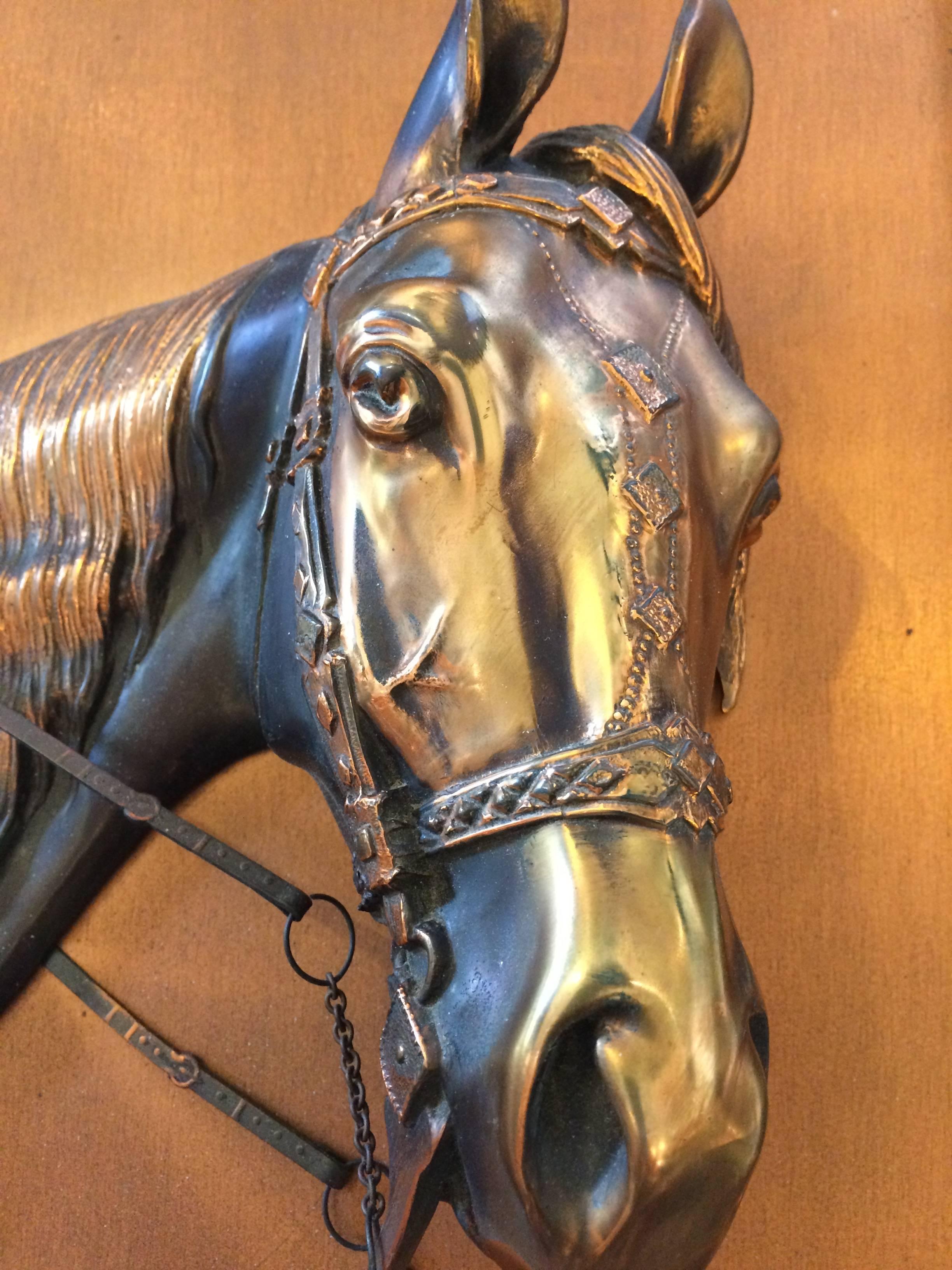 corbu stallion