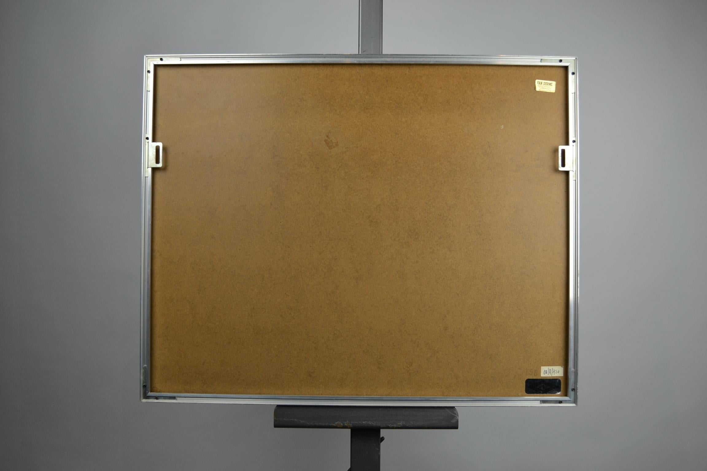 Duck Print Mergus Serrator, Mid-20th Century, aluminium with glass framed  6