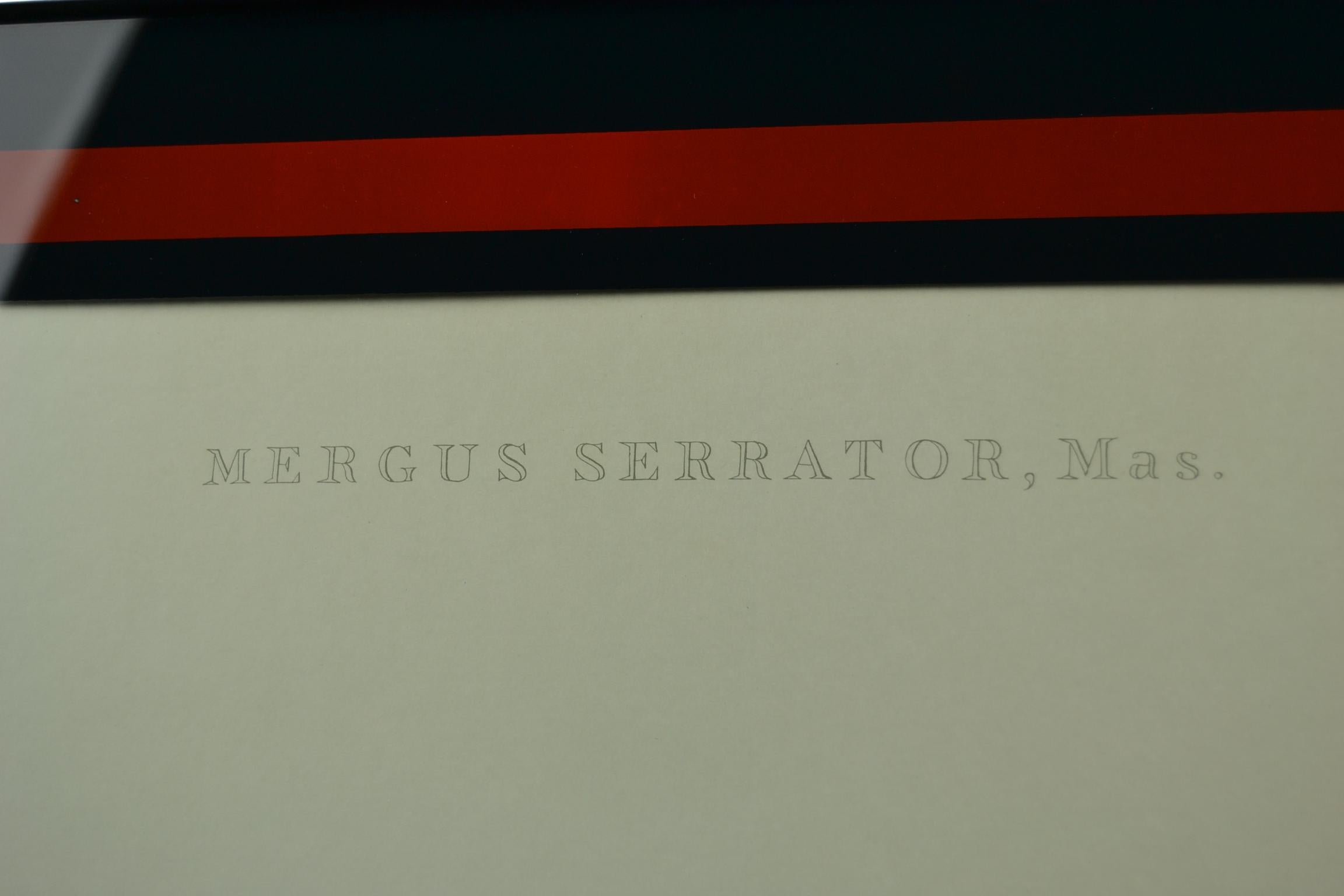 Mergus Serrator mit Entendruck, Mitte des 20. Jahrhunderts, Aluminium mit Glasrahmen  (Moderne der Mitte des Jahrhunderts)