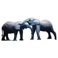 Vintage Framed & Matte Large Photograph "The Elephants Meet" Signed Bob Wallace