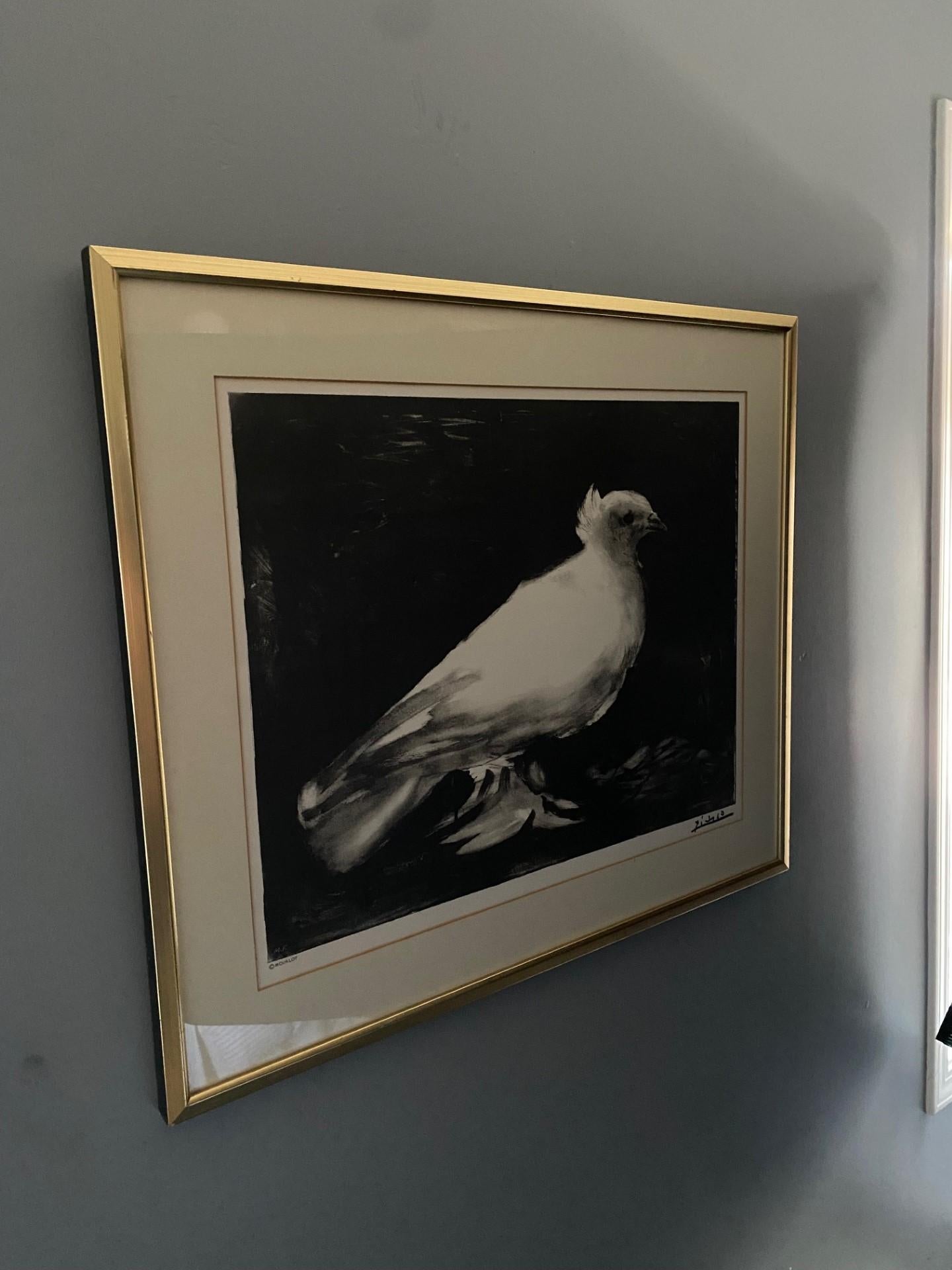 Lithograph of “Dove” (French: La Colombe) a 1949 work on paper created by Pablo Picasso in 1949. The lithograph displays a white dove on a black background, which is widely considered to be a symbol of peace. Originally, this work was used to