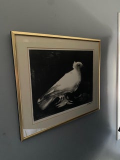 Vintage Framed Picasso “Dove” or “La Colombe” Lithograph by Mourlot