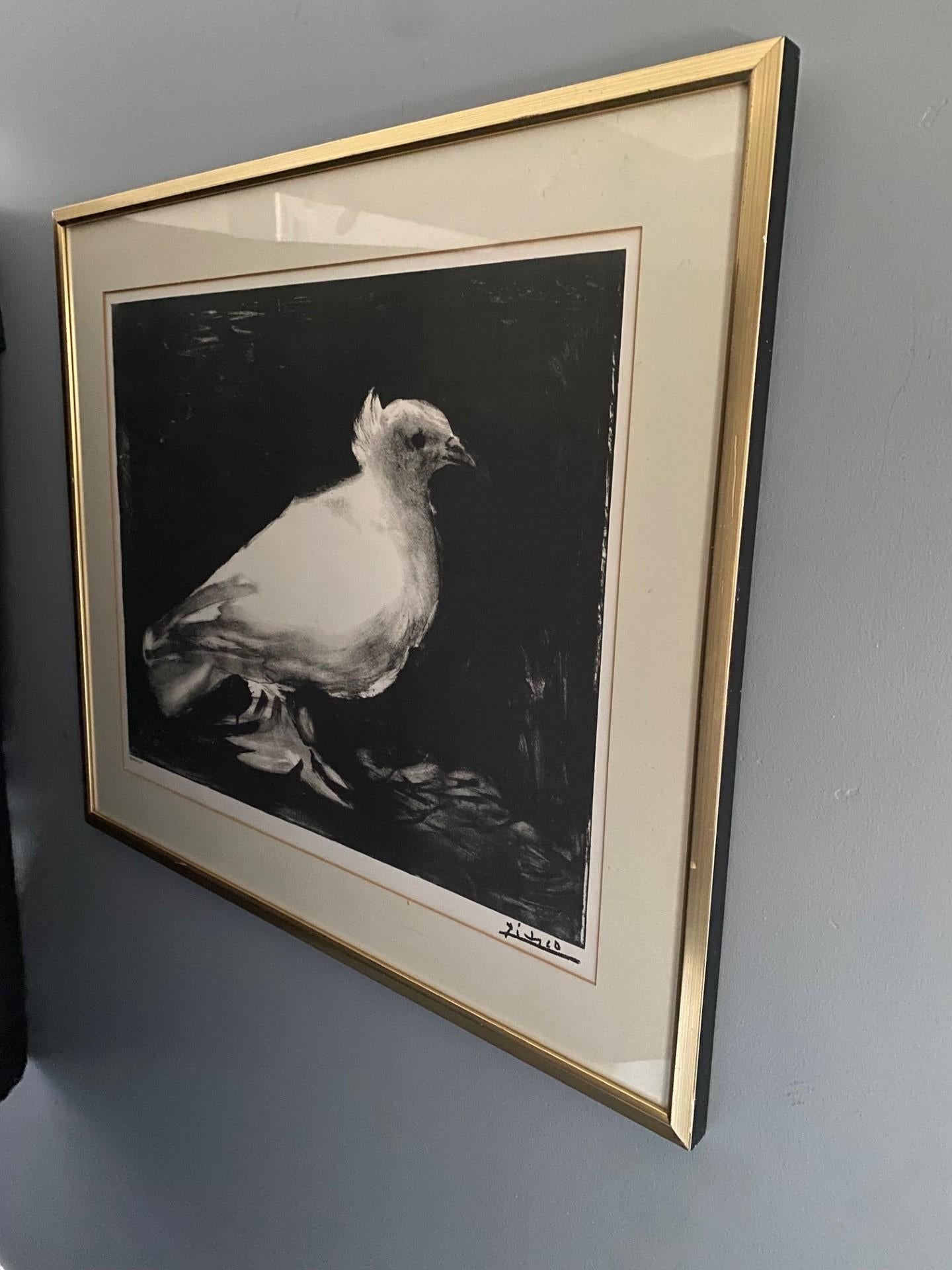 Glass Vintage Framed Picasso “Dove” or “La Colombe” Lithograph by Mourlot For Sale