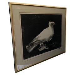 Retro Framed Picasso “Dove” or “La Colombe” Lithograph by Mourlot