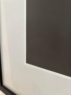 Vintage Framed Portrait of a Young Black Bull by Photographer Randel Ford