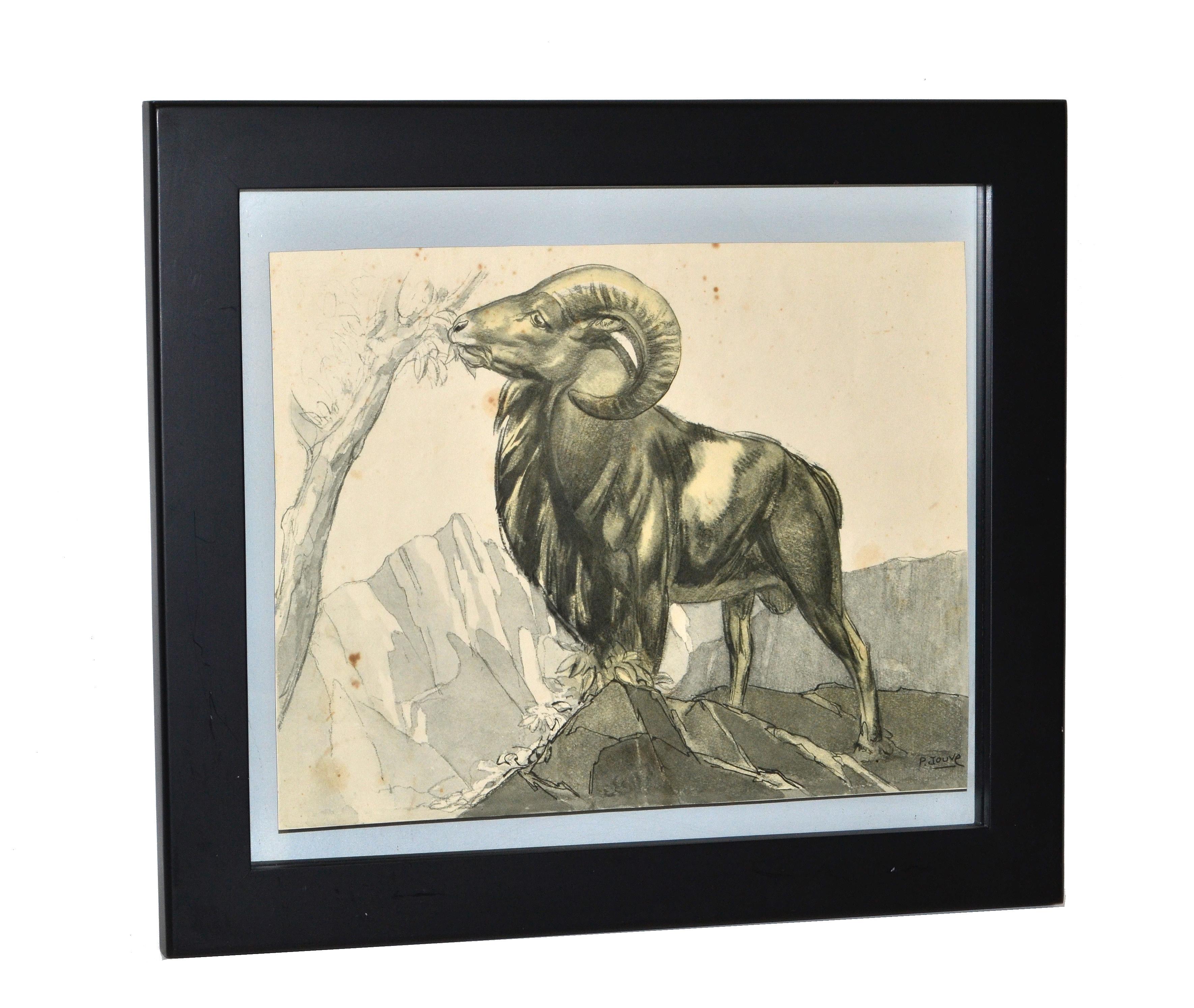 Schwarze, gerahmte Holzskizze eines grasenden Schafbocks im Gebüsch, aus dem Buch Peinture et Dessins de Paul Jouve.
Datiert auf ca. 1930. Keine Originalzeichnung von Paul Jouve.
Größe der Skizze: 13,5 x 10,5 Zoll.
Jouve besuchte Zoos in der