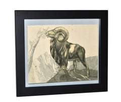 Vintage Framed Sketch Grazing Ram Book Peinture et Dessins de Paul Jouve, 1930