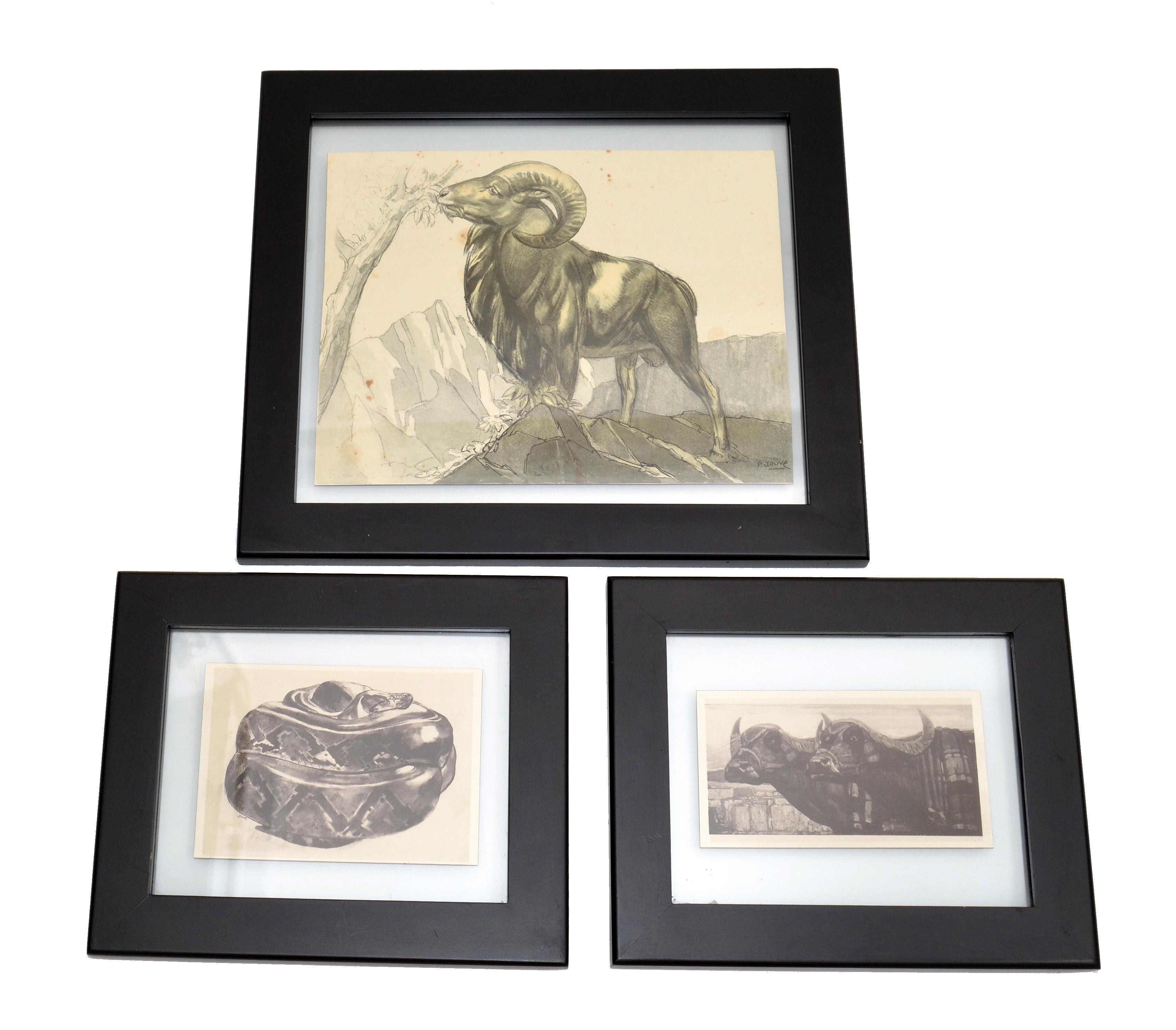 Glass Vintage Framed Sketch Snake from the Book Peinture et Dessins de Paul Jouve 1930 For Sale