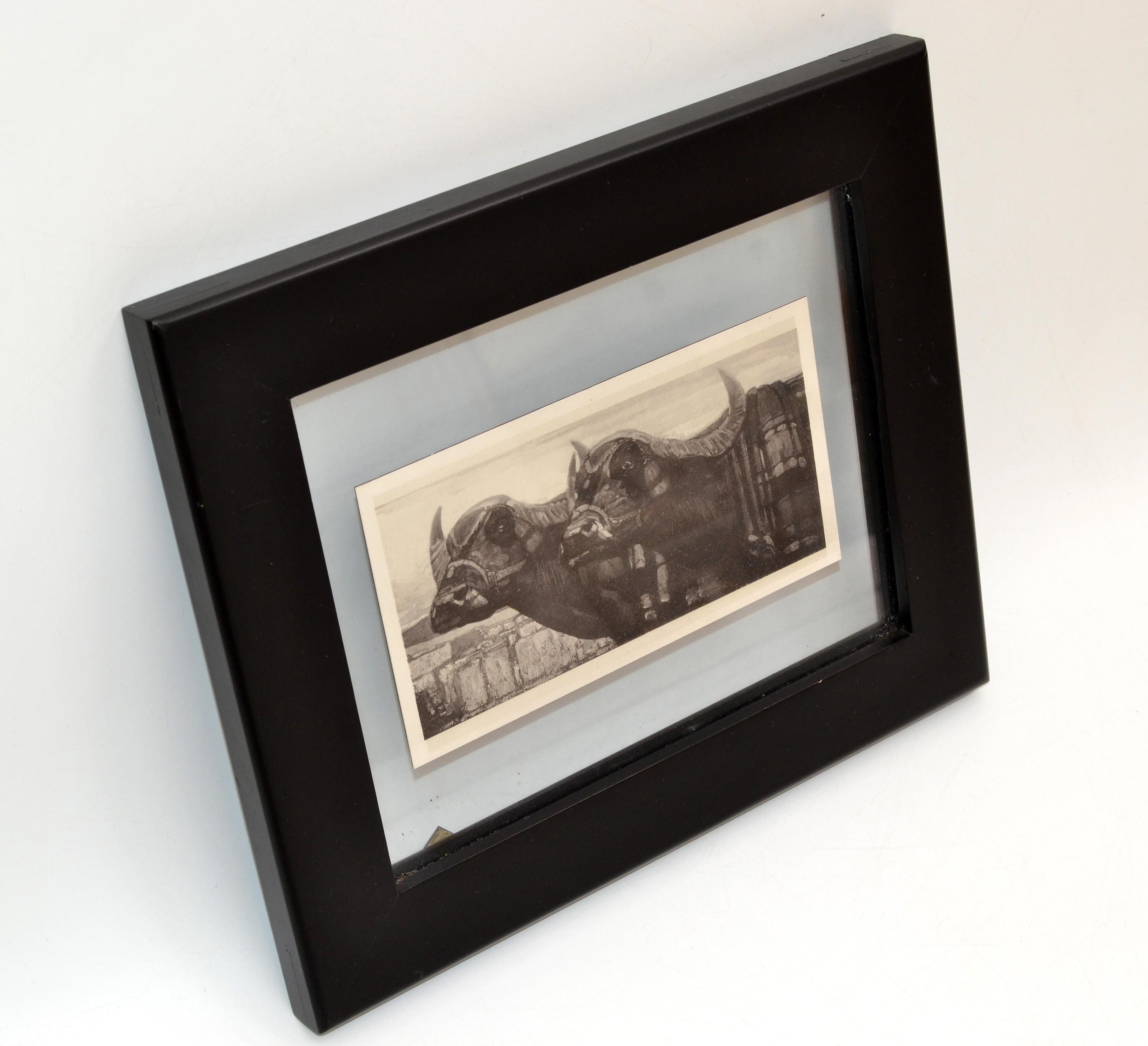 Vintage Framed Sketch Two Cows Book Peinture et Dessins de Paul Jouve, 1930 In Good Condition For Sale In Miami, FL