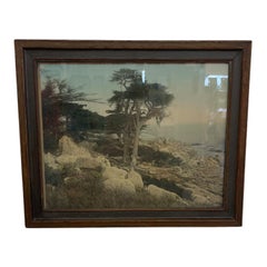 Vintage Framed Tinted Coastal Landscape Photograph of Cypress Trees.