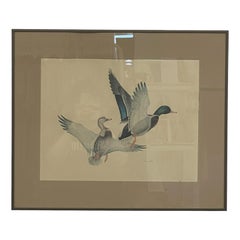 Vintage Framed Waterfowl Bird Print of Flying Ducks, Wildlife Wall Art.