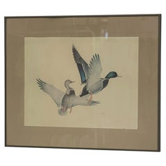 Vintage Framed Waterfowl Bird Print of Flying Ducks, Wildlife Wall Art.