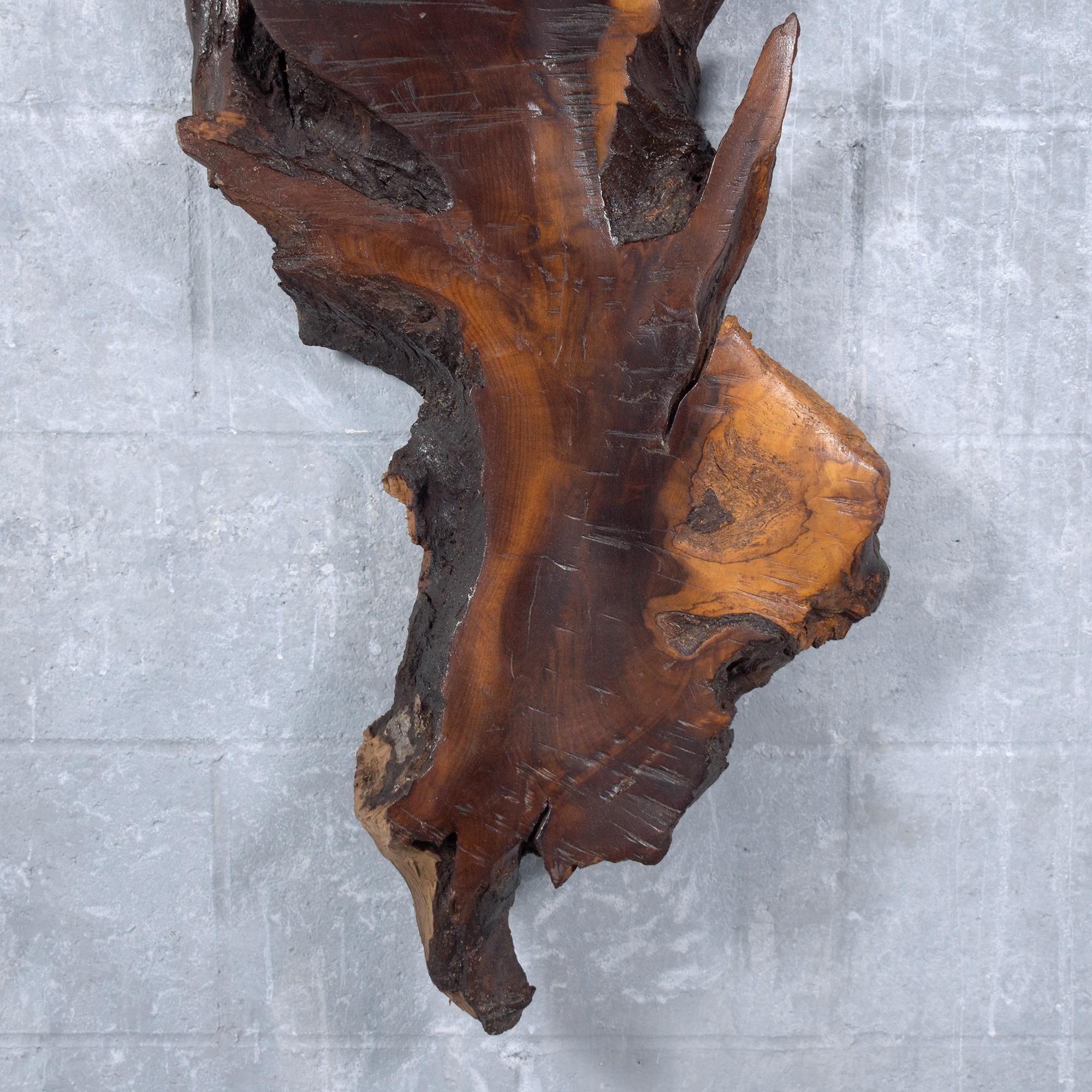 Vintage Freeform Driftwood Wall Sculpture with Natural Stain and Lacquer Finish For Sale 3