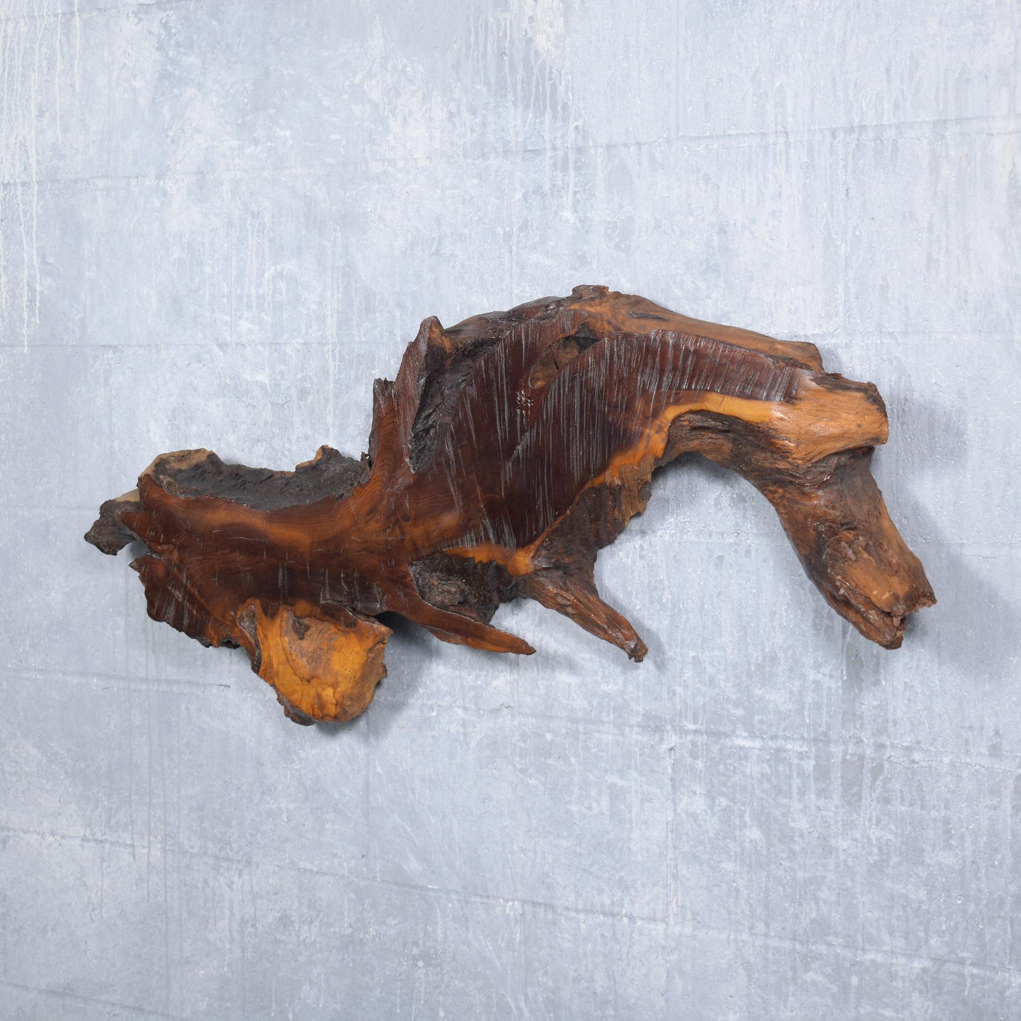 American Vintage Freeform Driftwood Wall Sculpture with Natural Stain and Lacquer Finish For Sale