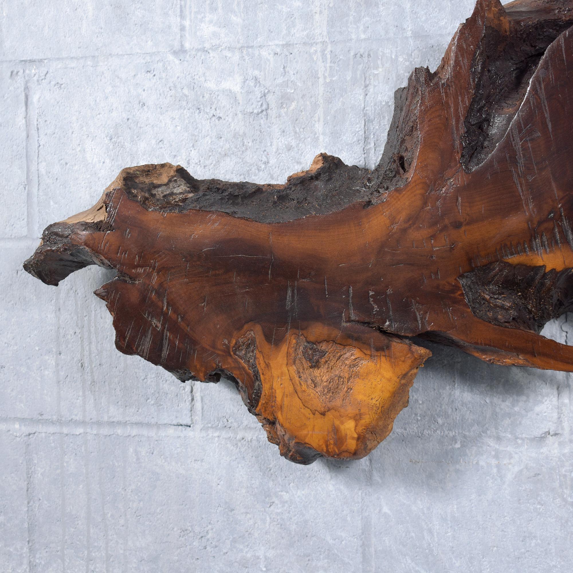 Vintage Freeform Driftwood Wall Sculpture with Natural Stain and Lacquer Finish In Good Condition For Sale In Los Angeles, CA