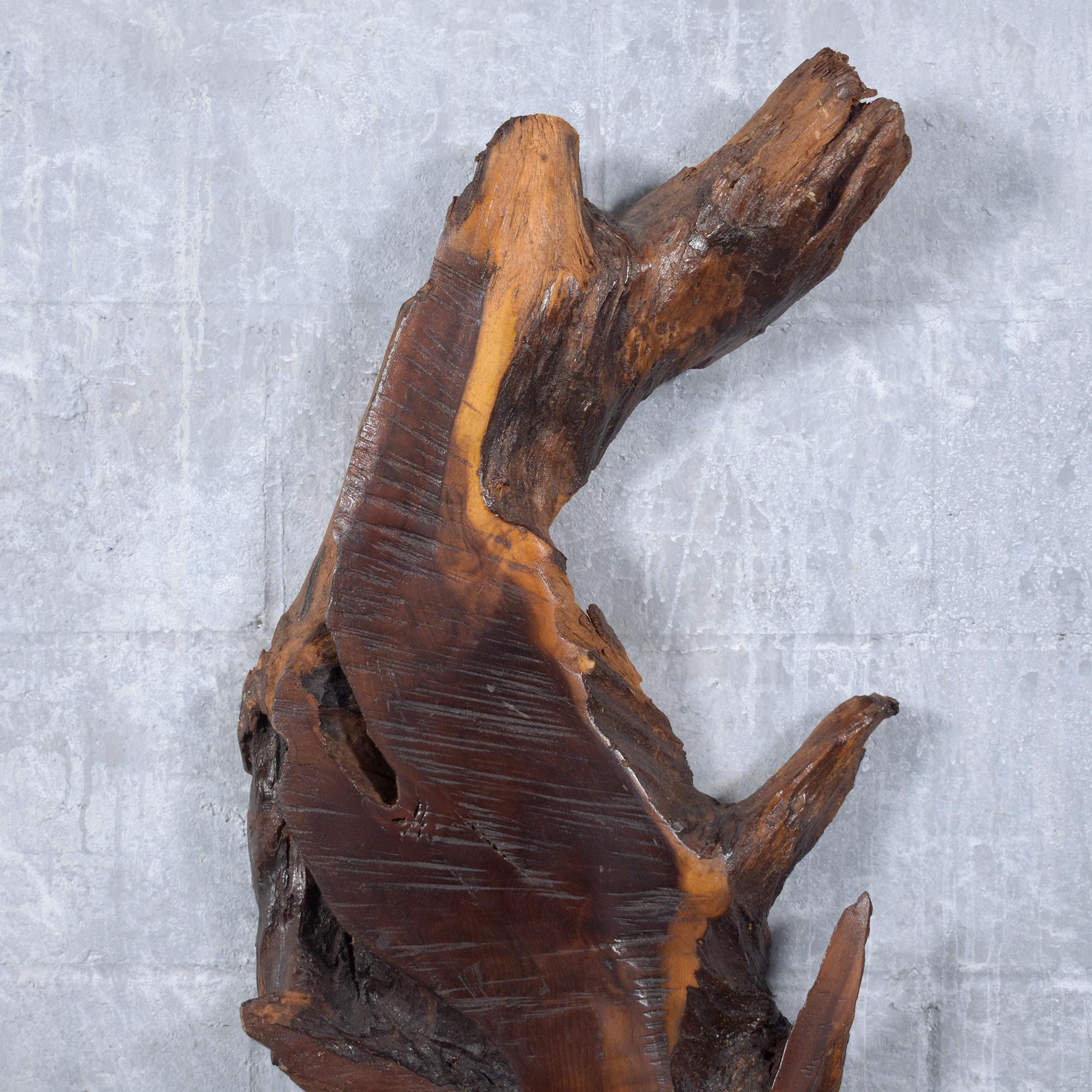Vintage Freeform Driftwood Wall Sculpture with Natural Stain and Lacquer Finish For Sale 2