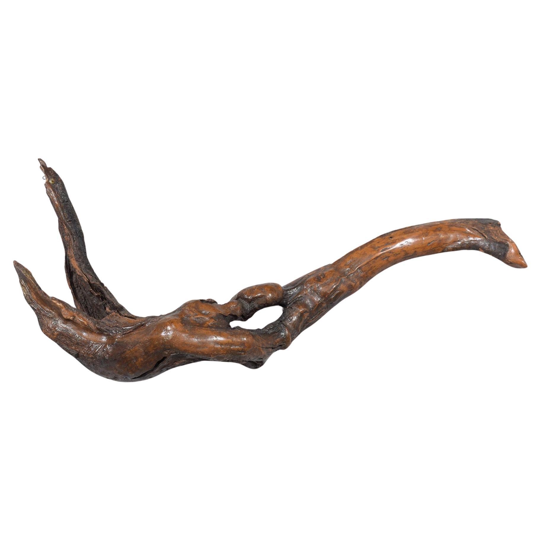 Vintage Freeform Driftwood Wall Sculpture with Natural Stain and Lacquer Finish For Sale