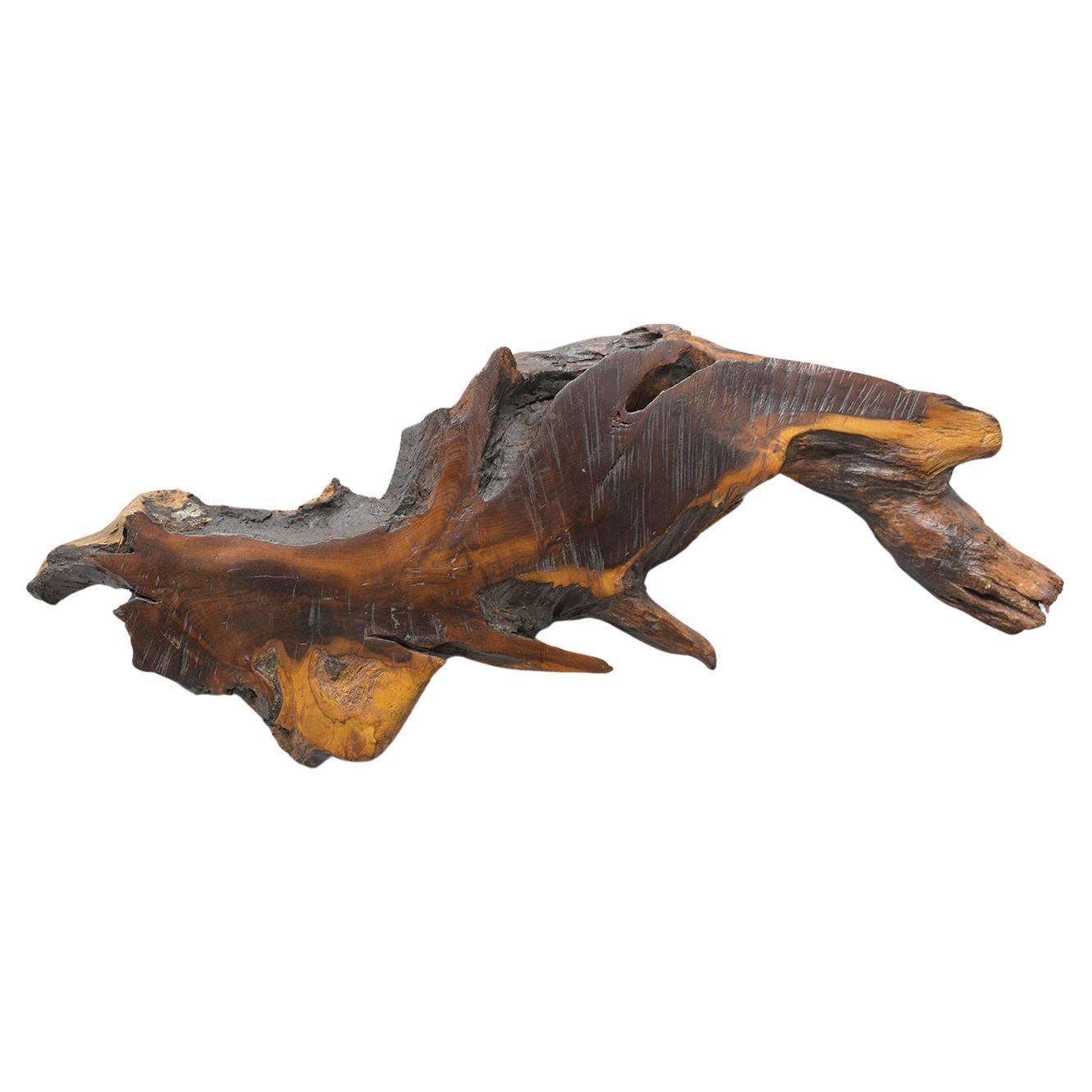 Vintage Freeform Driftwood Wall Sculpture with Natural Stain and Lacquer Finish For Sale
