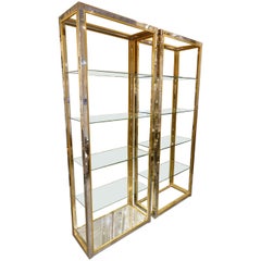 Vintage French Brass and Chrome Shelving Units