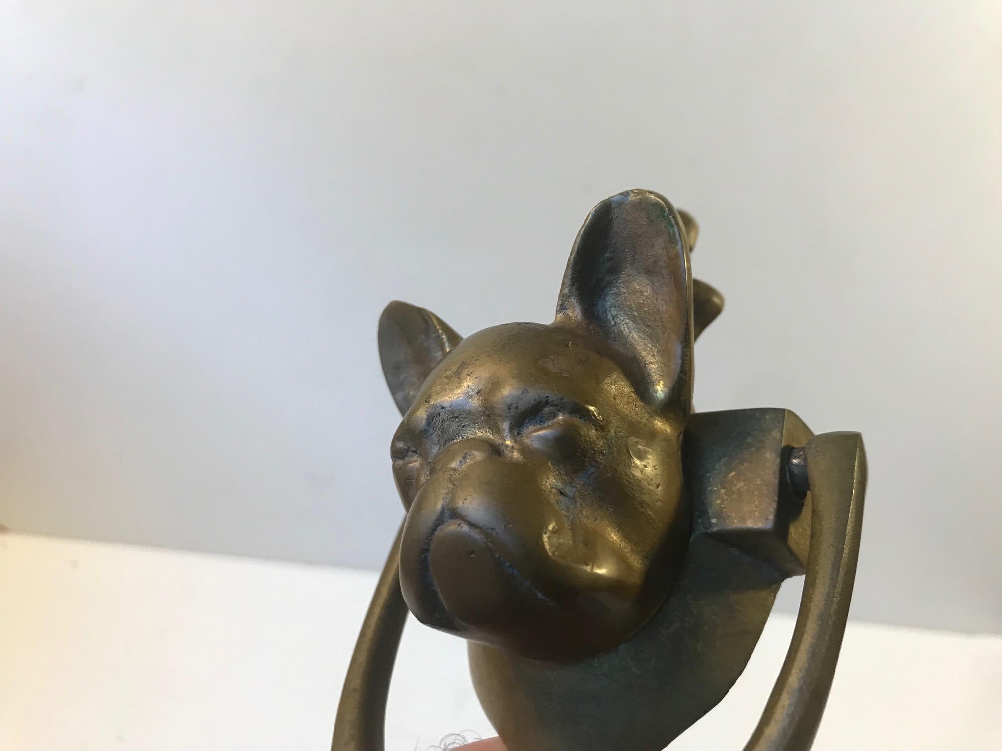 french bulldog 1950