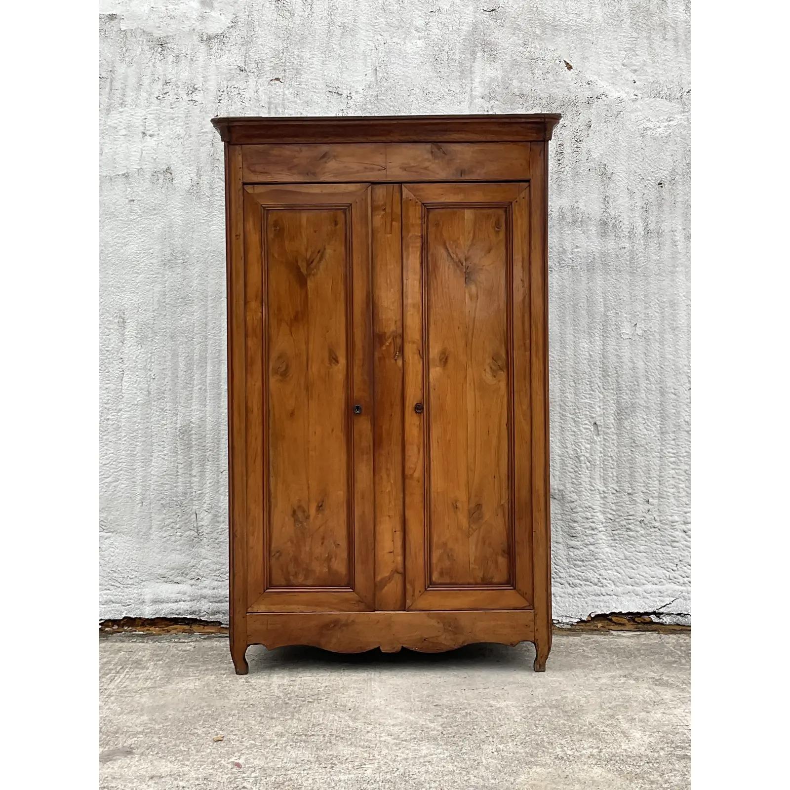 20th Century Vintage French Burl Wood Armoire
