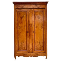 Vintage French Burl Wood Armoire