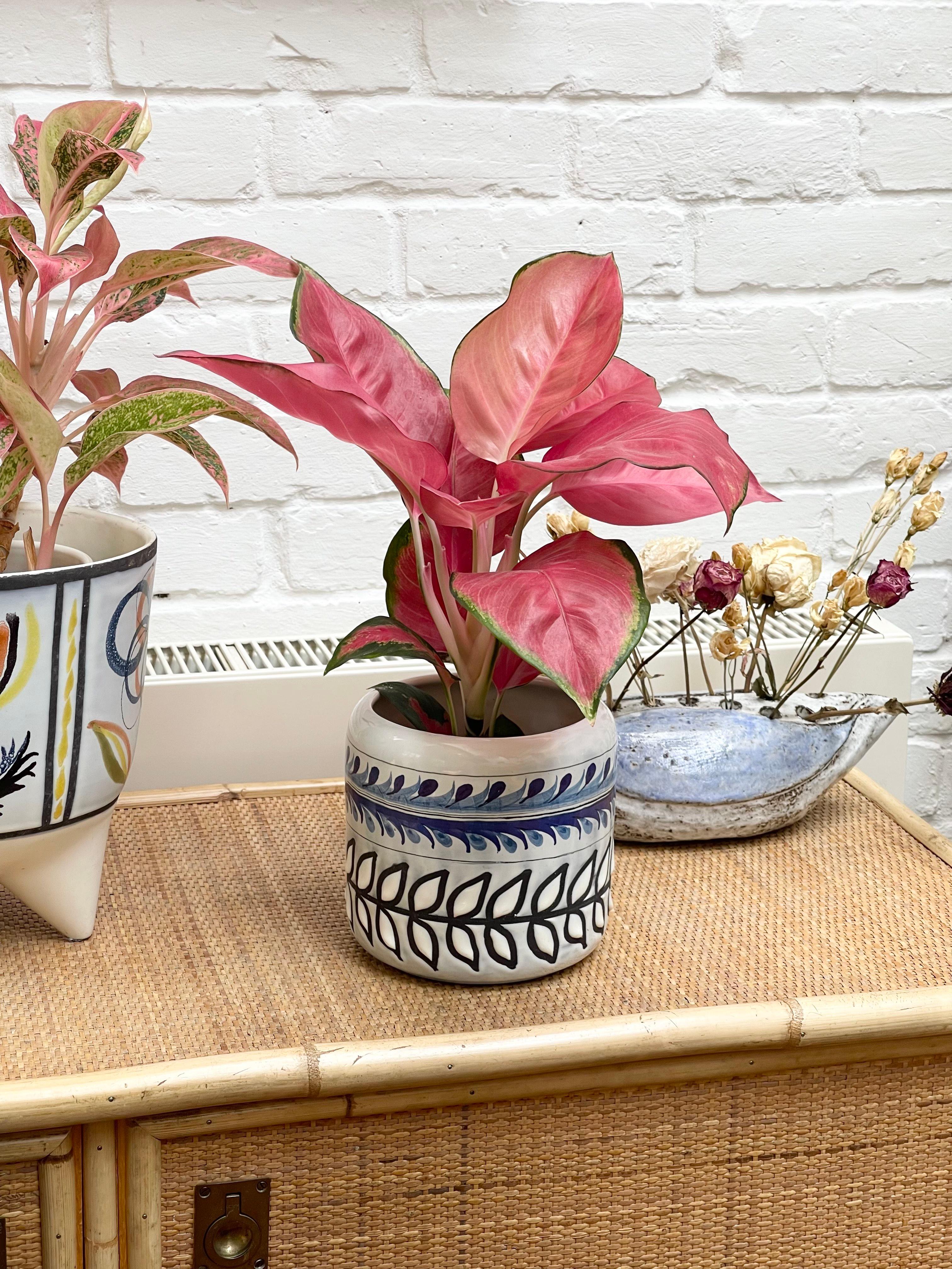 Mid-Century moderno Cachepot francese d'epoca in ceramica di Roger Capron, circa anni '60 in vendita