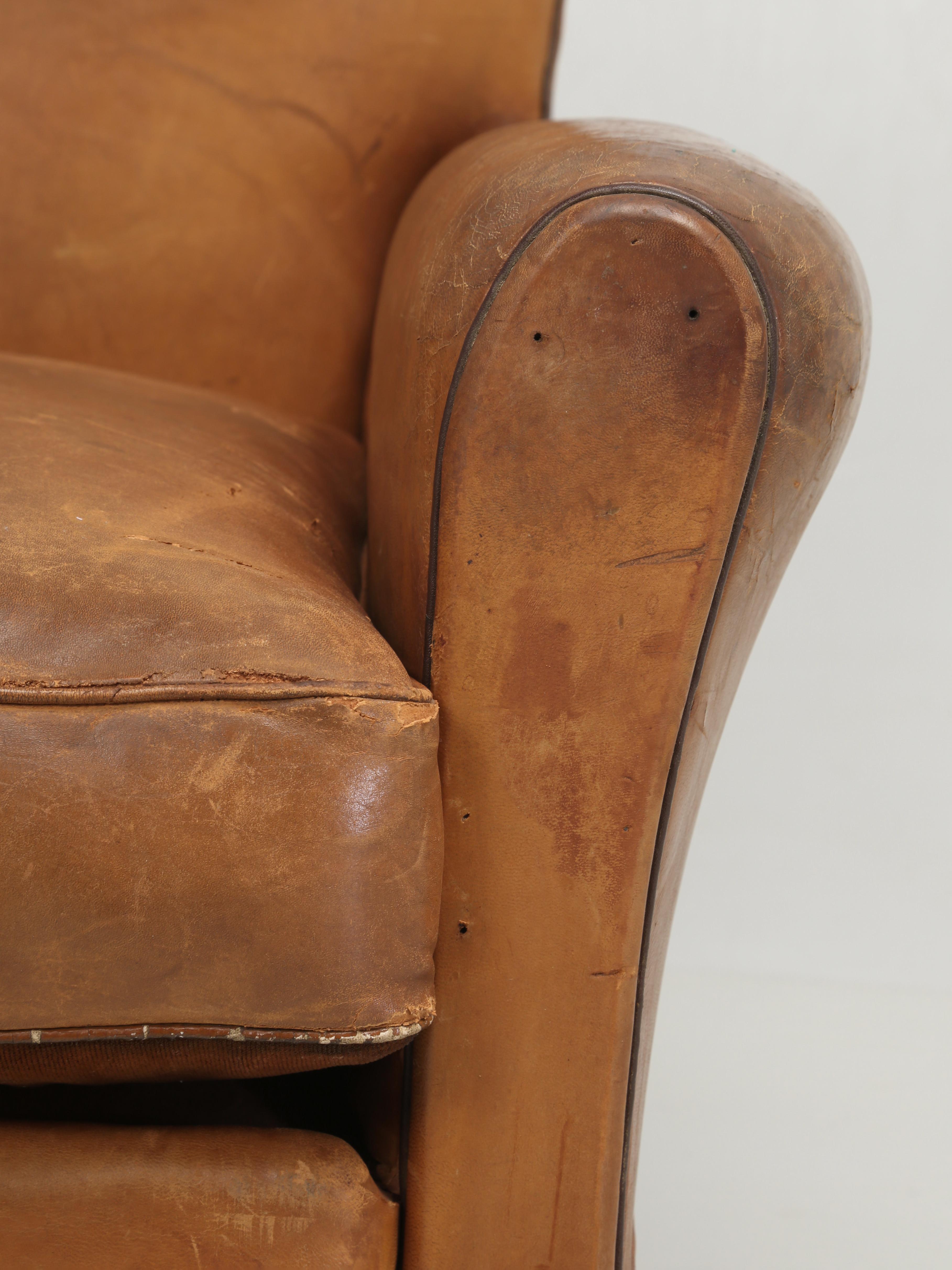Vintage French Club Chair in All Original Leather Properly Internally Restored  For Sale 5