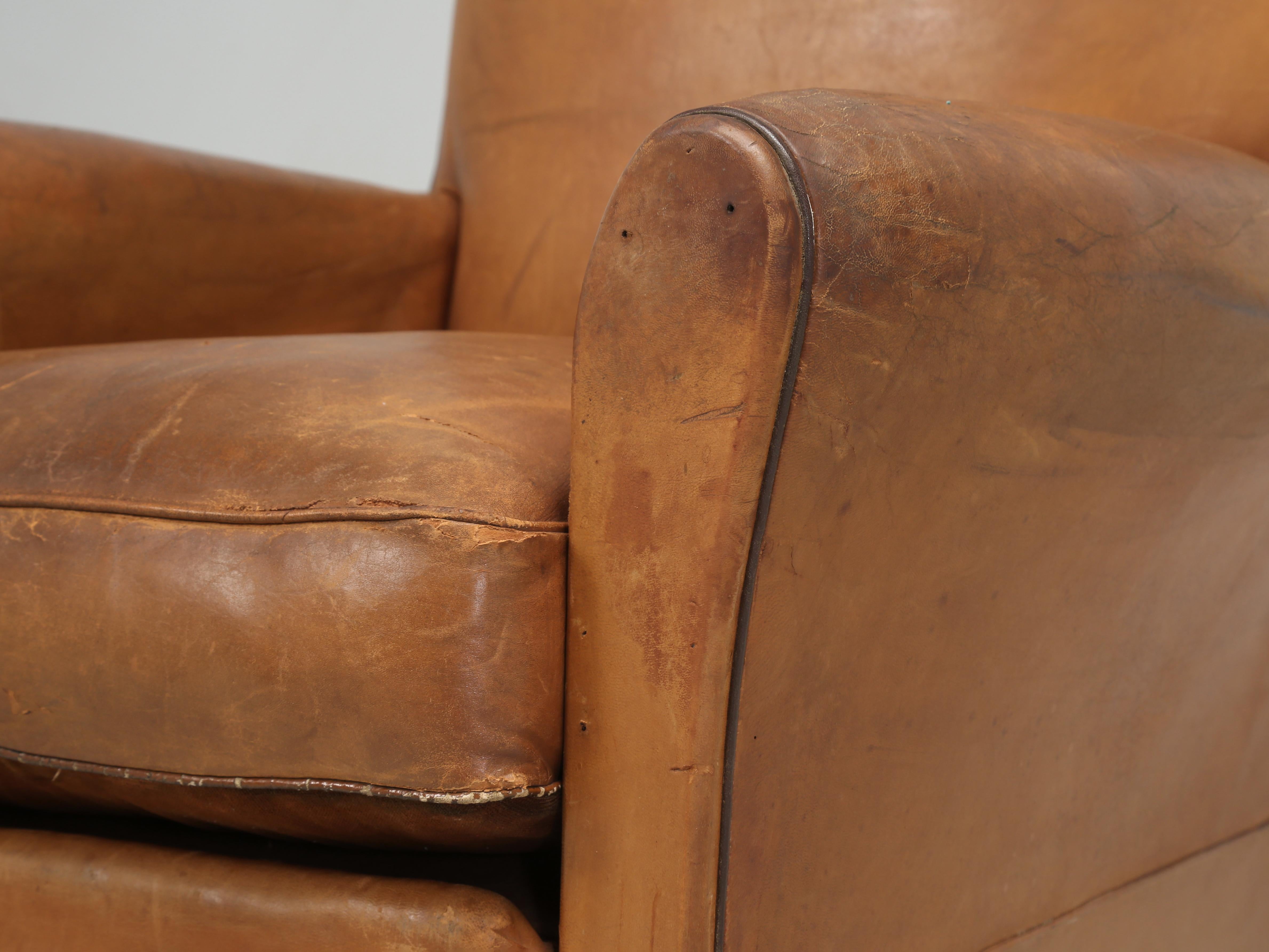 Vintage French Club Chair in All Original Leather Properly Internally Restored  For Sale 6
