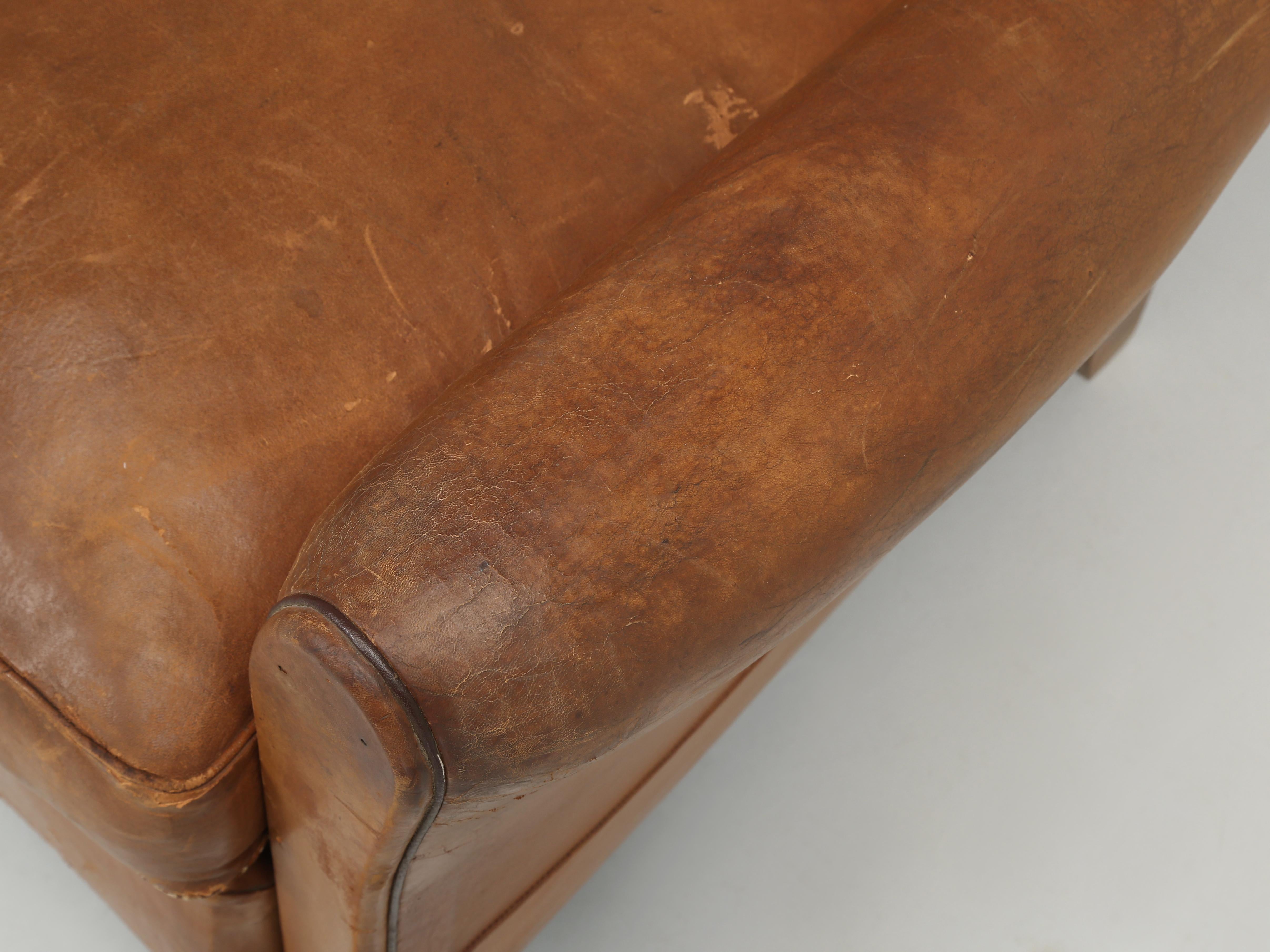 Vintage French Club Chair in All Original Leather Properly Internally Restored  For Sale 1