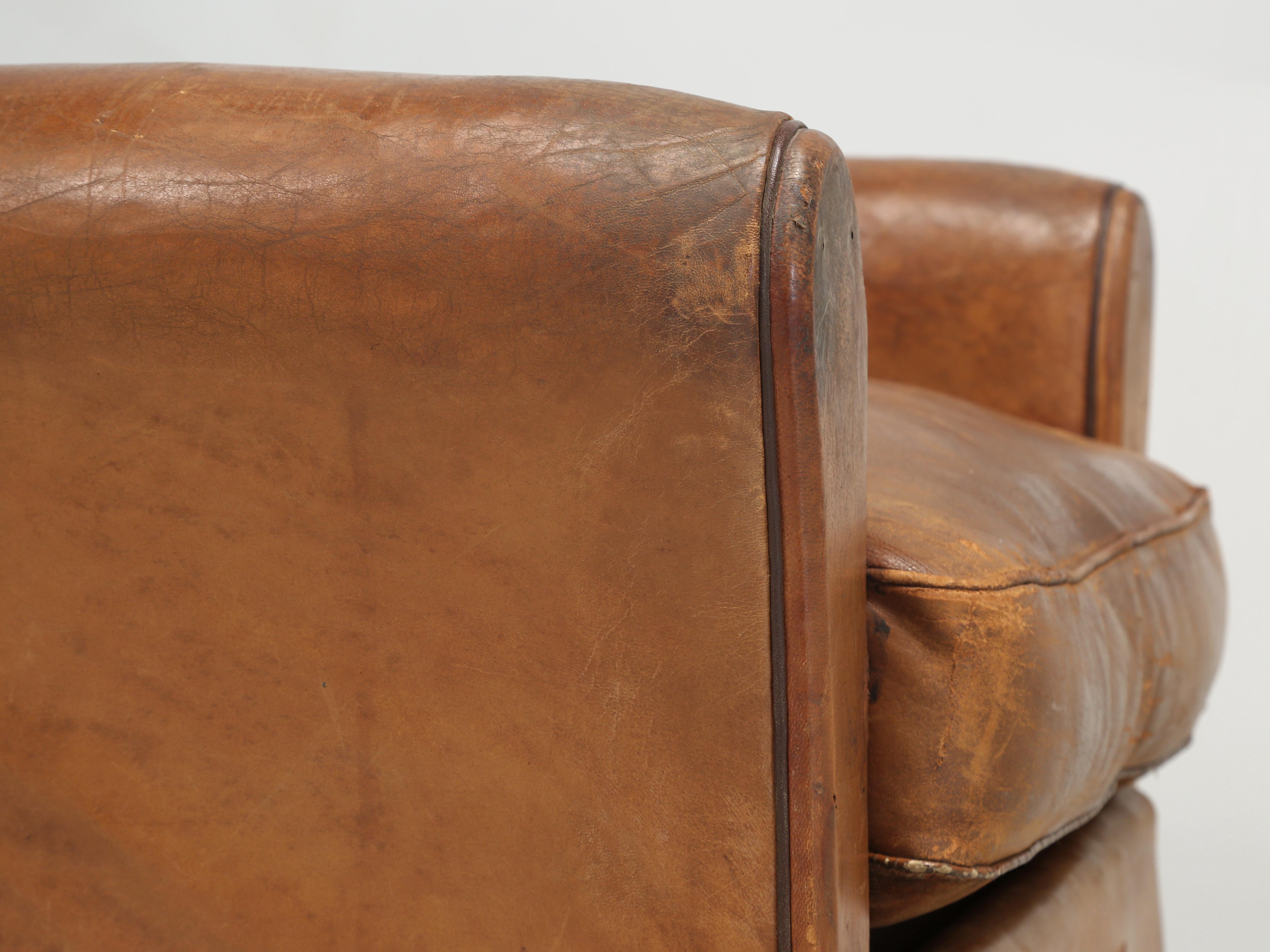 Vintage French Club Chair in All Original Leather Properly Internally Restored  For Sale 3