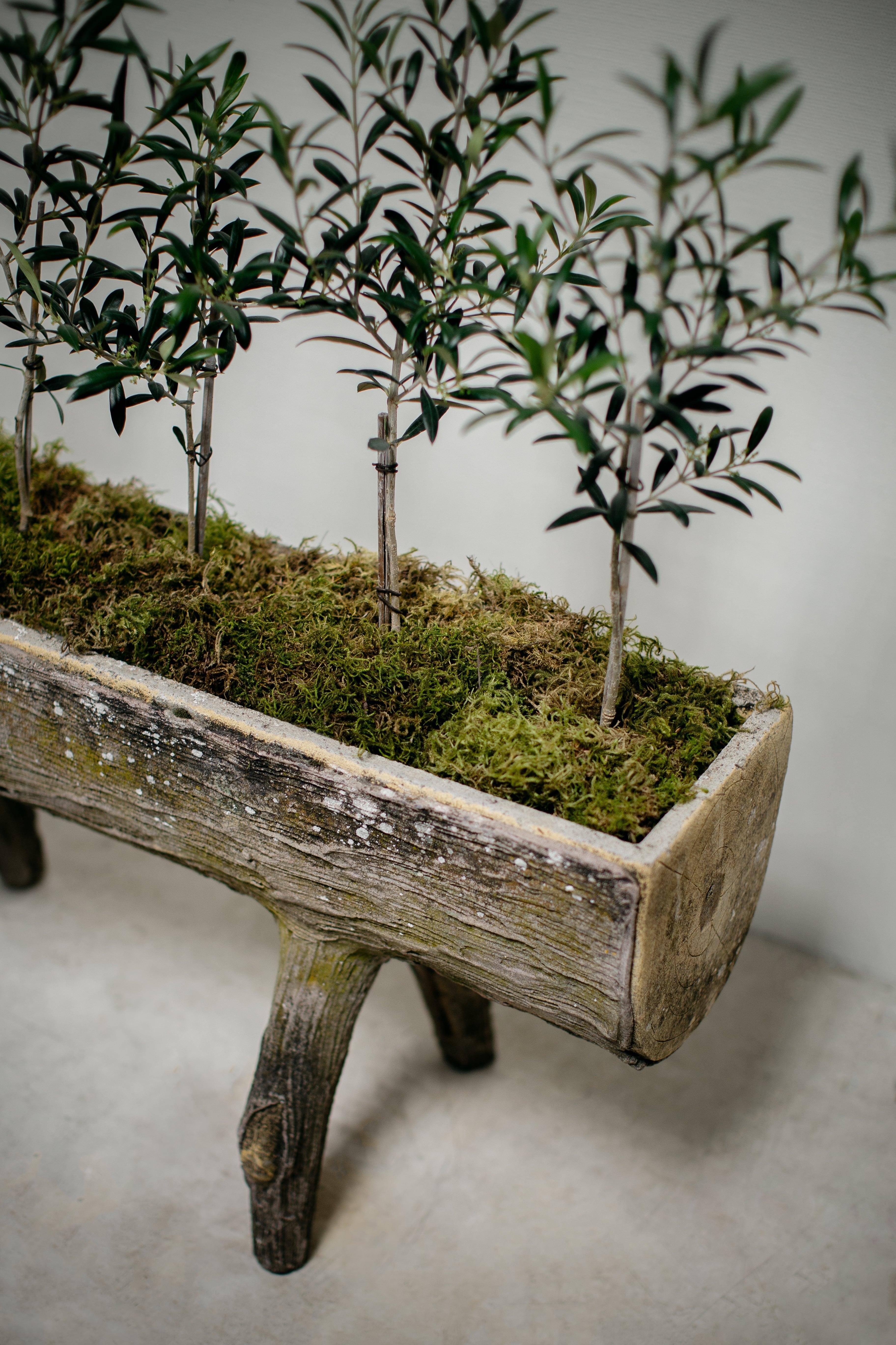 Vintage French Concrete Faux Bois Split-Log Planter In Good Condition For Sale In West Hollywood, CA