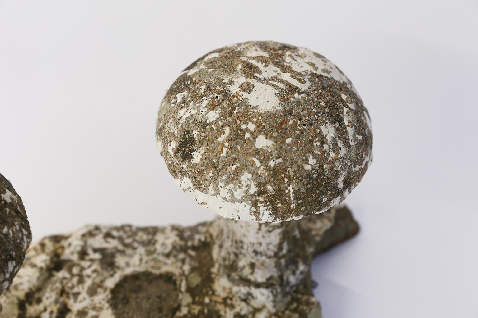 concrete mushrooms for sale