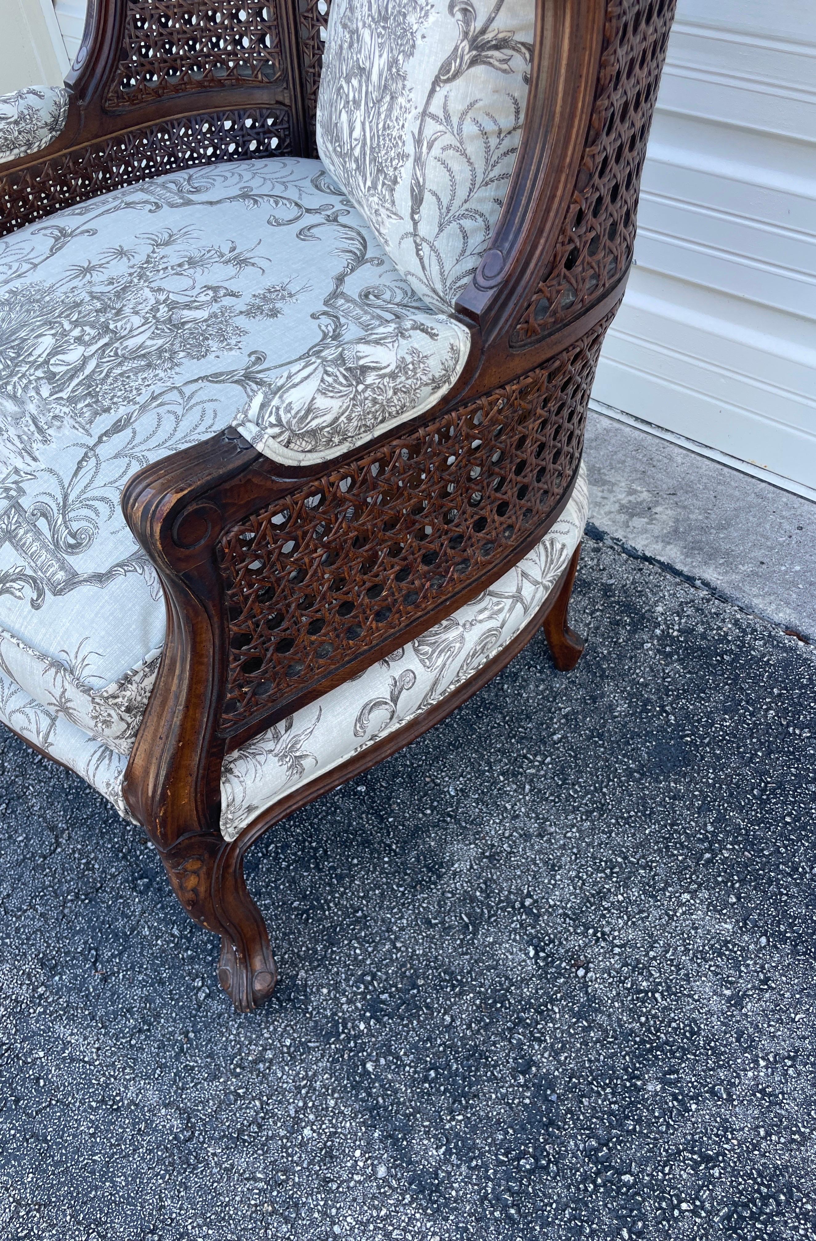 20th Century Vintage French Double Caned Hooded Chair For Sale