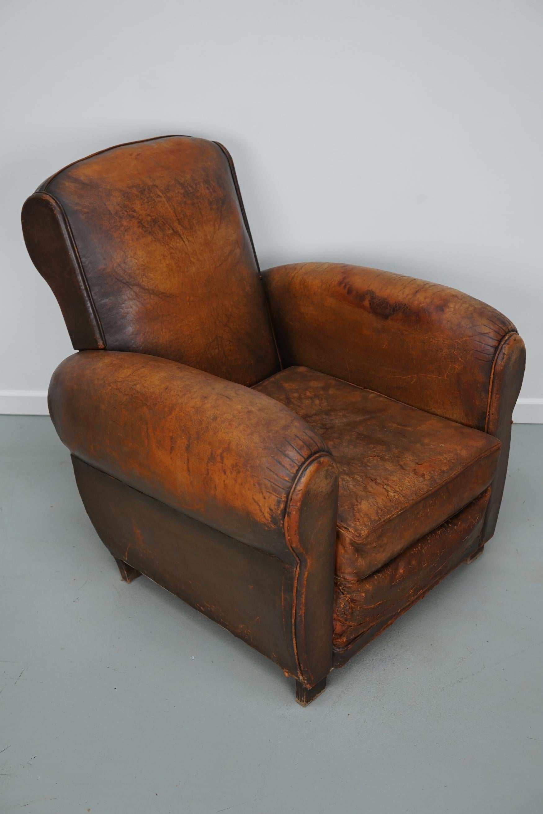 Vintage French Elephant Back Cognac-Colored Leather Club Chair, 1940s 1