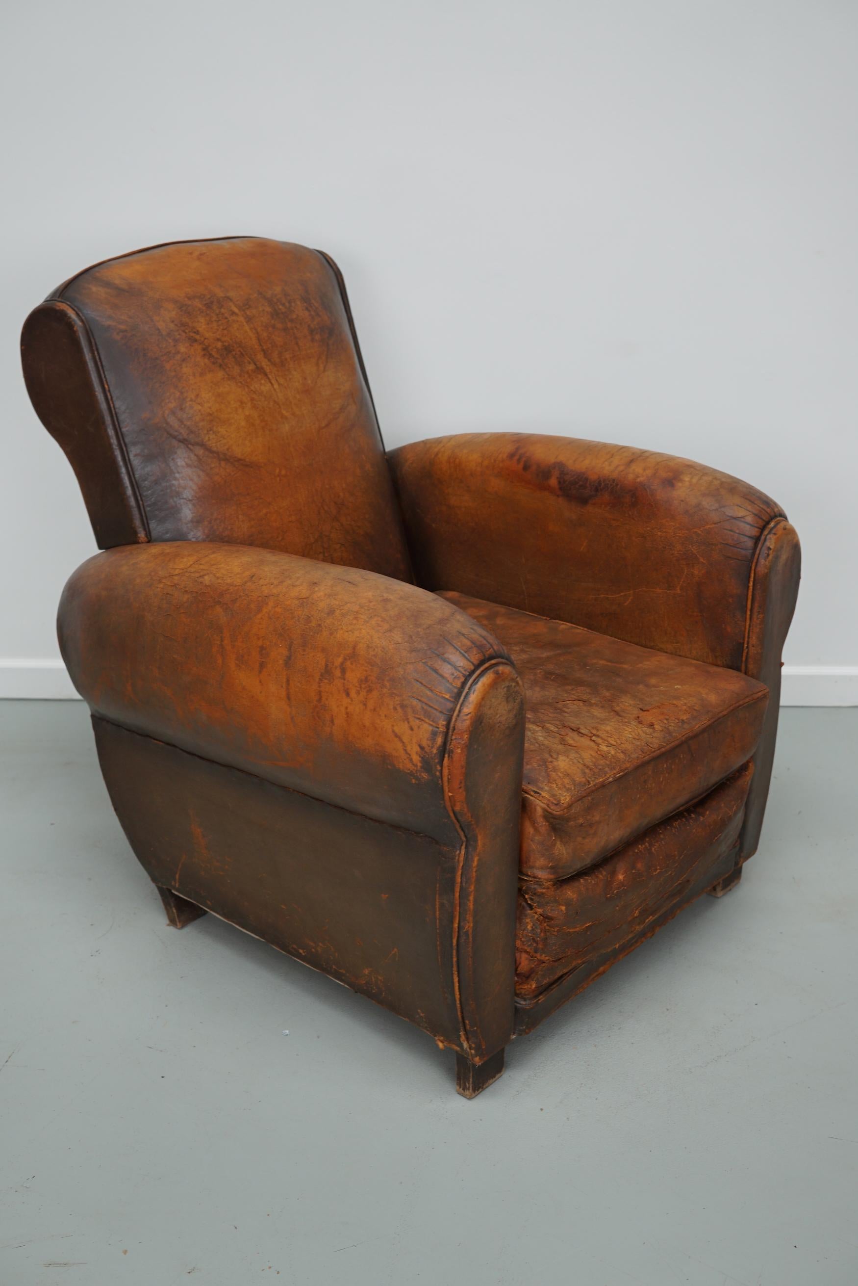 Vintage French Elephant Back Cognac-Colored Leather Club Chair, 1940s 2