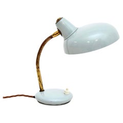 Vintage French Enamelled Tole and Brass Desk Lamp
