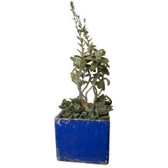 Vintage French Fiber Cement Square with Worn Blue Paint, circa 1950