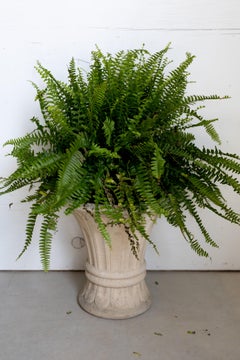 Vintage French Fluted Planter