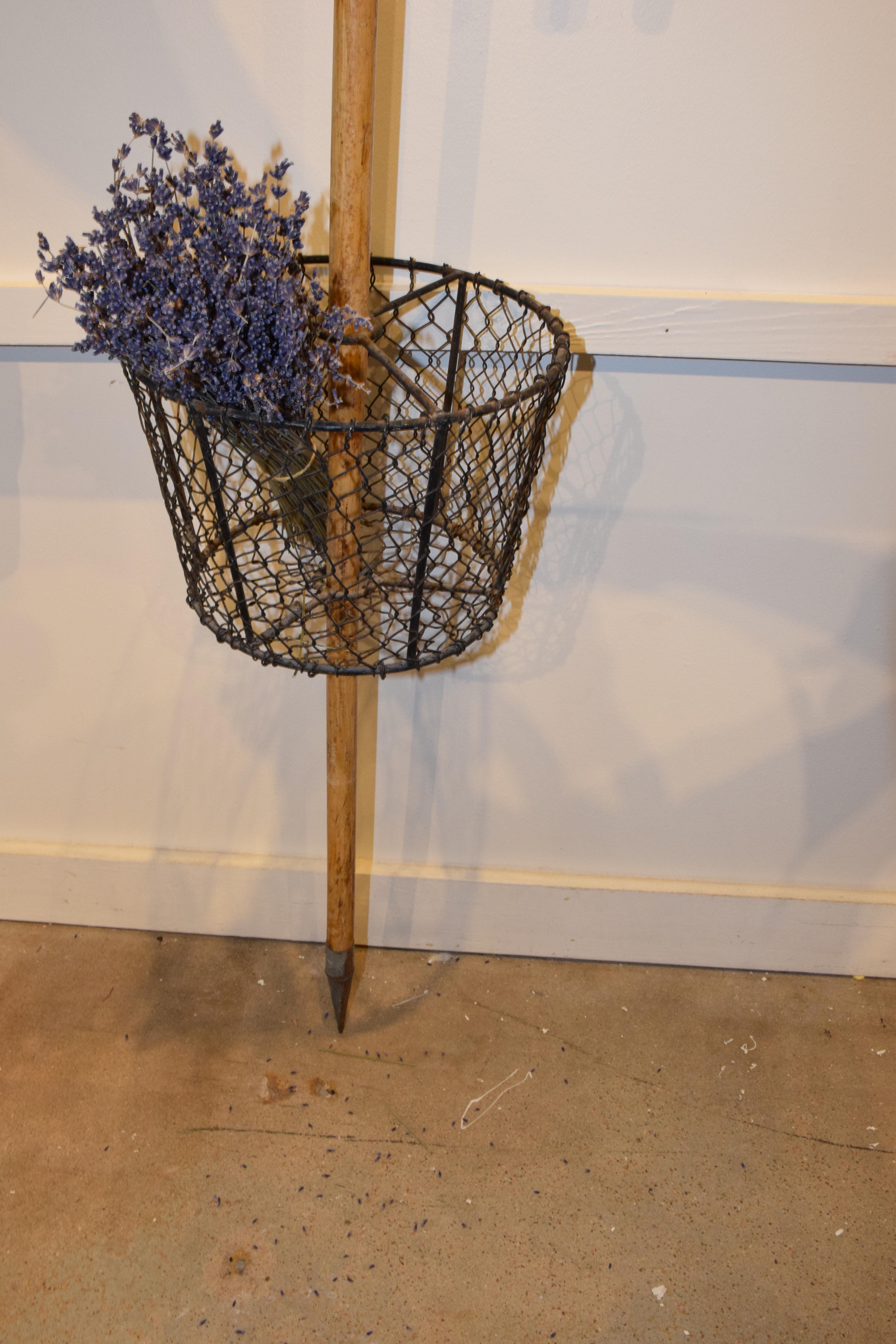 20th Century Vintage French Garden Cane with Gathering Basket