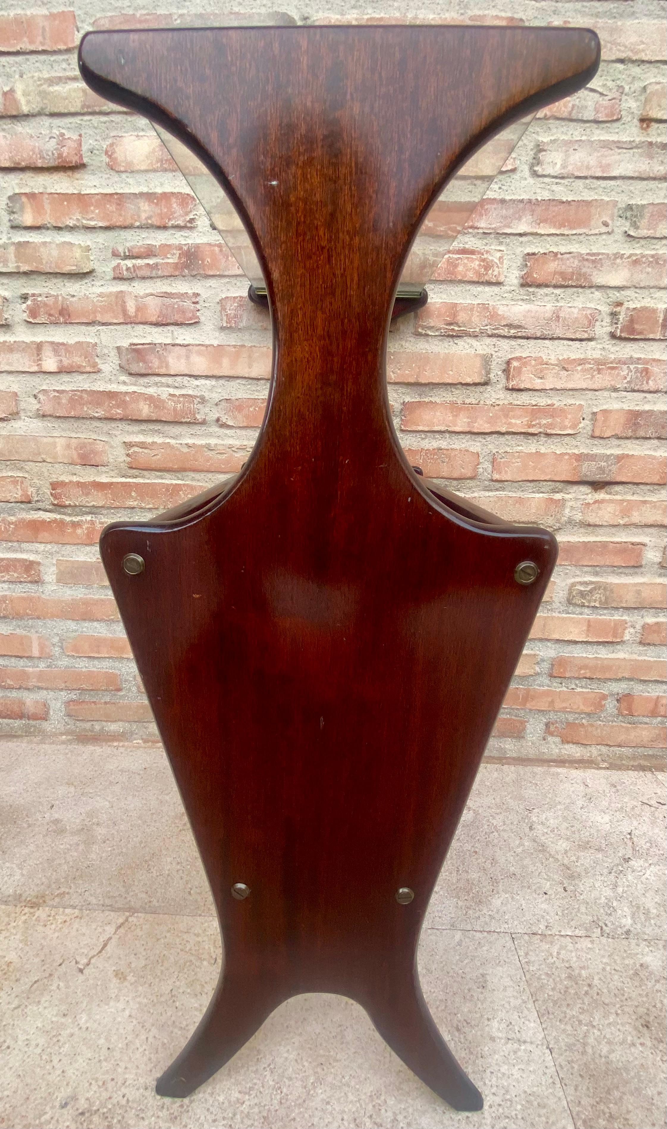 Vintage French Glass and Wood Folio Stand Magazine Rack, 1950s For Sale 3