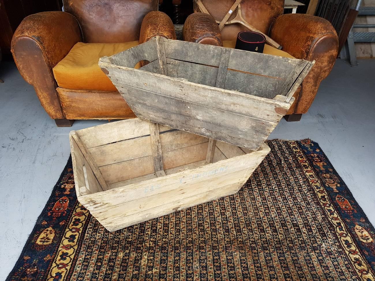 Vintage French rural wooden grape crates from the Drôme region of France, circa 1960-1970.

The measurements are,
Depth 48 cm/ 18.8 inch.
Width 78 cm/ 30.7 inch.
Height 31 cm/ 12.2 inch.
     
