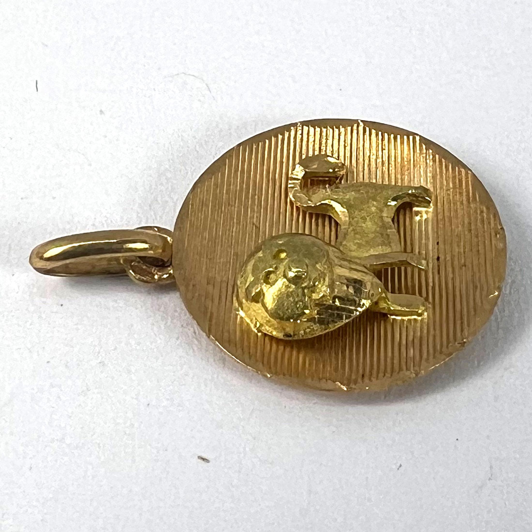 Ciondolo a forma di medaglia d'epoca in oro giallo, segno zodiacale del Leone, francese, 18 carati in vendita 10