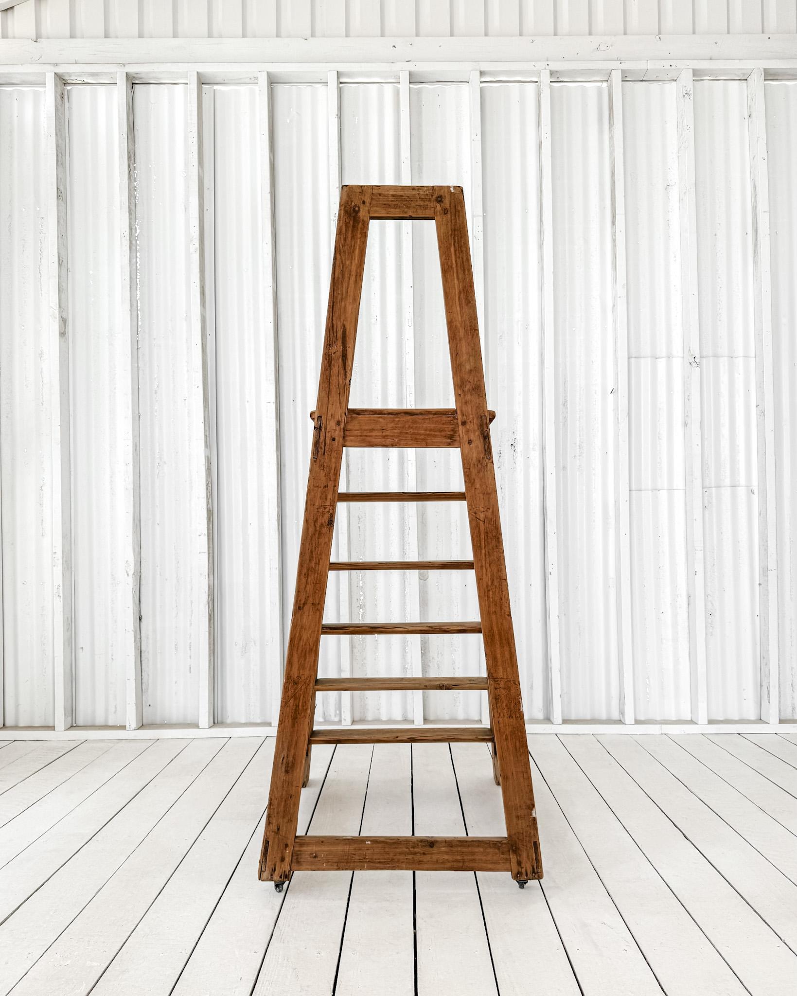 Vintage French Library Ladder 12