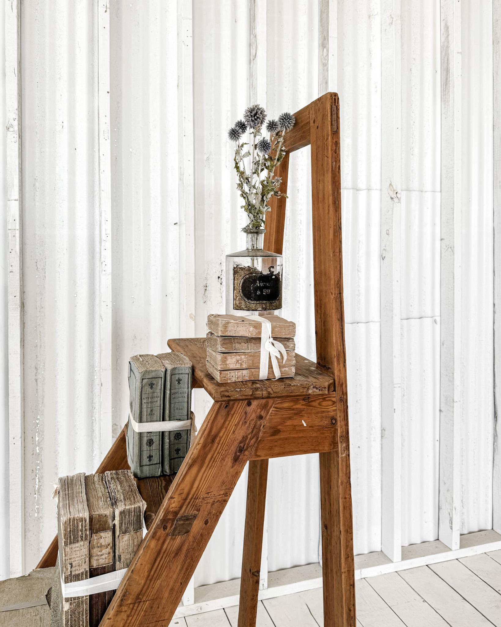 20th Century Vintage French Library Ladder